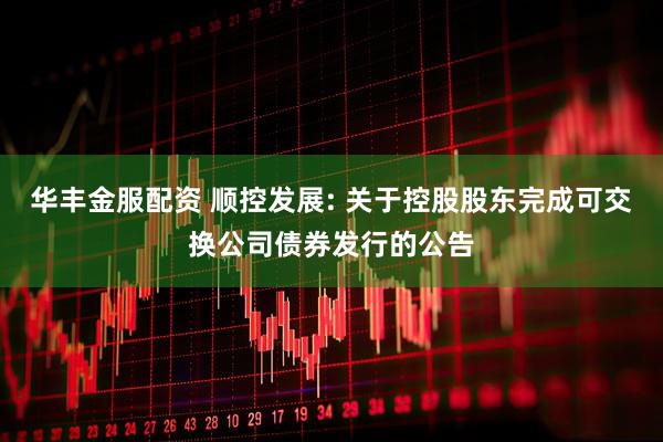 华丰金服配资 顺控发展: 关于控股股东完成可交换公司债券发行的公告