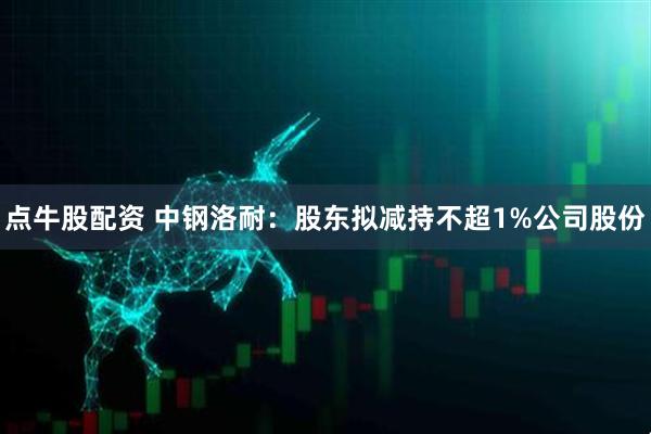 点牛股配资 中钢洛耐：股东拟减持不超1%公司股份